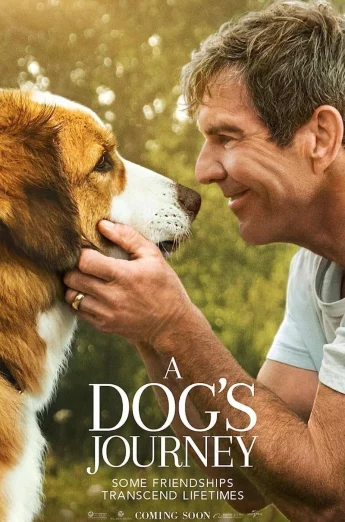 ดูหนัง A Dog’s Journey (2019) หมา เป้าหมาย และเด็กชายของผม 2 (เต็มเรื่อง)