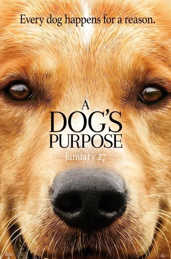 A Dog’s Purpose (2017) หมา เป้าหมาย และเด็กชายของผม