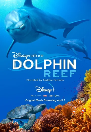 Dolphin Reef (2020) อัศจรรย์ชีวิตของโลมา