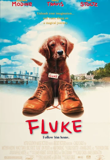 Fluke (1995) เกิดใหม่กลายเป็นหมา