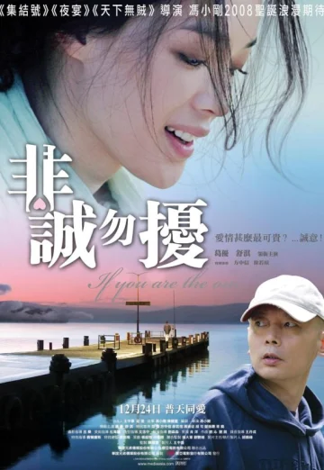 If You Are the One (Fei cheng wu rao) (2008) ผิดรักหัวใจหลงลึก