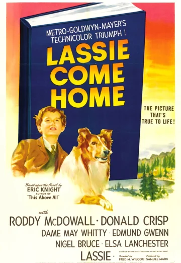 ดูหนัง Lassie Come Home (1943)