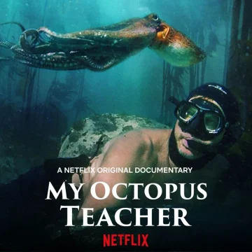 ดูหนัง My Octopus Teacher (2020) บทเรียนจากปลาหมึก (เต็มเรื่อง)