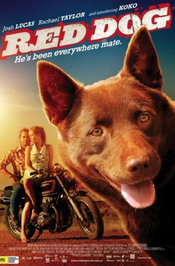ดูหนัง Red Dog (2011) เพื่อนซี้ หัวใจหยุดโลก HD