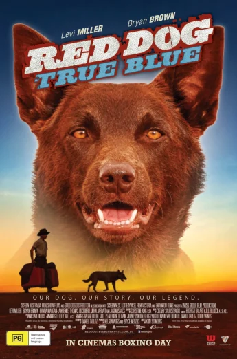 ดูหนัง Red Dog: True Blue (2016) เพื่อนซี้หัวใจหยุดโลก 2 (เต็มเรื่อง)