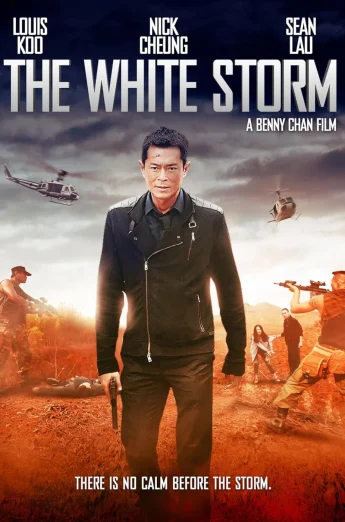 ดูหนังออนไลน์ The White Storm (2013) โคตรคนโค่นคนอันตราย