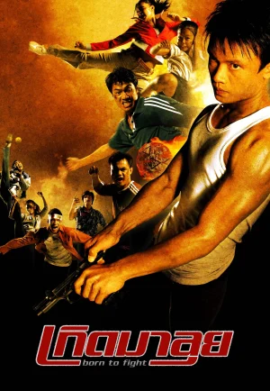 ดูหนัง Born To Fight (2004) เกิดมาลุย
