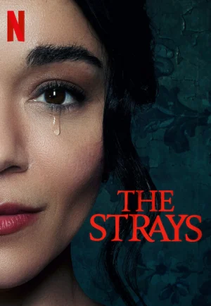 ดูหนัง The Strays (2023) คนหลงทาง (เต็มเรื่อง)