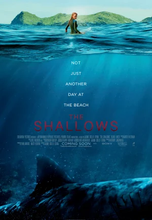 ดูหนัง The Shallows (2016) นรกน้ำตื้น (เต็มเรื่อง)