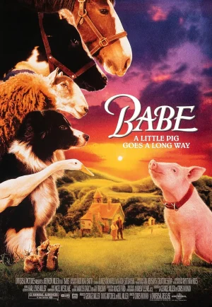 ดูหนัง Babe (1995) เบ๊บ หมูน้อยหัวใจเทวดา (เต็มเรื่อง)