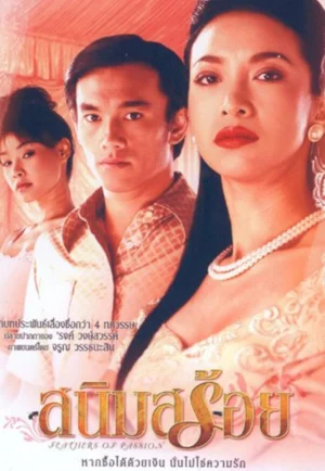 ดูหนัง Feathers of Passion (2003) สนิมสร้อย (เต็มเรื่อง)