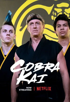 ดูซีรี่ย์ Cobra Kai Season 1 (2018) คอบร้า ไค ซีซั่น 1 (EP1 - EP10)